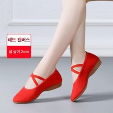 여성 라인 댄스화 검은색 재즈 구두 라틴댄스 밴드형