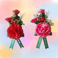 [마이비컴]레드열매 리본 카네이션 (벌크형), 핑크