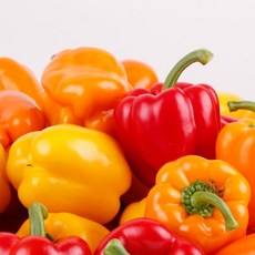 영양이 풍부한 국내산 파프리카, 1kg x 1박스, 1