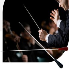 RESO 연습용 지휘봉 오케스트라지휘봉, 레드