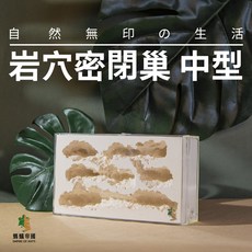 螞蟻帝國天然岩穴密閉巢 連接式立體石膏巢 中型螞蟻巢 蟻窩 養螞蟻, 1個