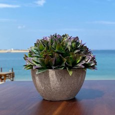 홈카페 빈티지 미니 인조 조화 화분, 다육이퍼플, 1개