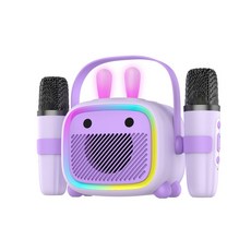 72H發貨臺灣兒童藍牙音響 T20無線話筒音響 家用戶外K歌便攜式 錄音支架收納彩燈, 紫色,雙麥