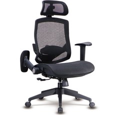 台灣製凌雲之座 電腦椅 辦公椅 人體工學椅 書桌椅 電競椅 家用椅, Black