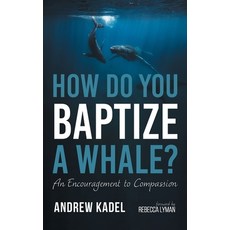 (英文圖書)How Do You Baptize a Whale?: An Encouragement to Compassion 精裝版, Wipf & Stock Publishers, 英文