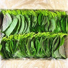 기린농산 국내산 밀양 찹찹이 깻잎, 500g, 1개