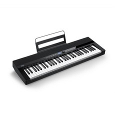 DONNER SD-20 61鍵電子琴 鍵盤 公司貨, 1個