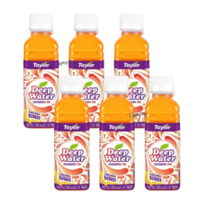 [테일러푸룬 ] 딥워터 자몽180ml x 12병, 180ml