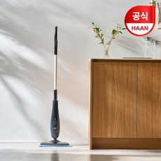 한경희생활과학 슬림&라이트 스팀청소기 스틱형, 블랙, XST-100