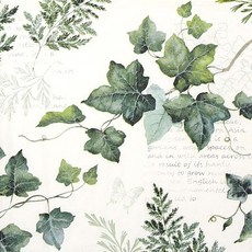 넝쿨 냅킨 K-30-010, 믹스, 1세트, 5개