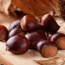 프레시 2025년 햇 국산 부여 꿀밤 선별 발송 대사이즈, 1개, 4kg