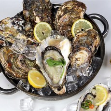 국내산 삼배체굴 생굴 1kg (2~4미) 대굴 산지직송, 1개