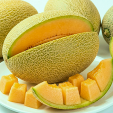 [농가당일직송] 제철맞은 고당도 가정용 하미과 메론, 1개, 1kg