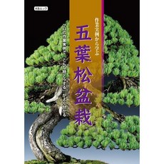 【小樹安每】近代出版社 五葉松盆栽作業實例，日式風格，淨化空氣，園藝盆栽