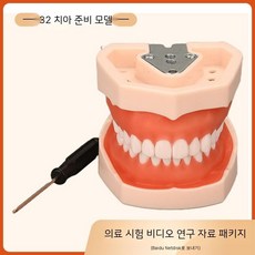 구강 모형 스케일링 치아 연습용 치과 치아모형, 2. 올인원 탈부착 틀