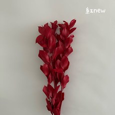 花藝夢*不凋玉竹葉 整把販售 單色 漸變玉竹葉 永生花 乾燥花 不凋花 現貨, 紅NEW