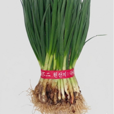 싱글벙글 싱싱 쪽파 잔단 600g 내외 당일선별 가공용 양념용 실속형, 400g, 1개