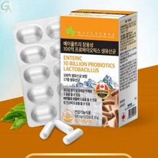 100억마리 생유산균 장더부륵할때 프로바이오틱스 규친적인배변 고함량