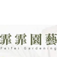 霏霏園藝 小植物, 隨機,1