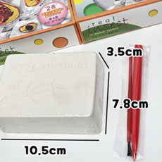 에코에듀 리얼곤충화석발굴키트 발굴 키트 어린이 인싸템 집콕과학놀이, 1개