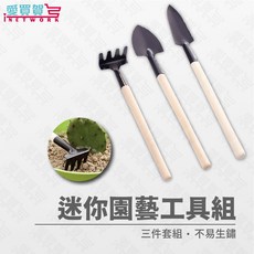 愛買賀 多肉植物園藝工具組3件套 植物工具 園藝鏟 多肉 耙子 鐵鍬 移植 鬆土 居家園藝, 1個