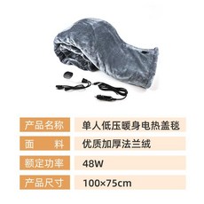 桃園出貨 睡袋 電熱毯 12v車載汽車電熱毯 雙人家用房車戶外露營加熱毯, 灰促銷款和車載插頭100*75