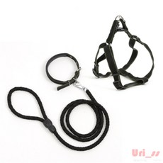 우리상회 로프 대형견 목줄 하네스 리드줄 세트 XS 블랙 대형개목걸이