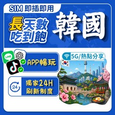 飛網科技 韓國網卡 5G高速吃到飽, 1個, 高速每日1GB+無限量,10天
