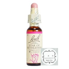 바흐플라워 레메디 스타 오브 베들레헴 10ml 감정 케어 에센스 스포이드형, 1개