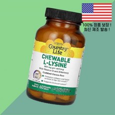 컨트리라이프 츄어블 라이신 엘라이신 L라이신 아미노산 비타민D 비타민디 엘더베리 톡 쏘는 오렌지 트위스트 60정 Country Life Chewable L Lysine With, 1개