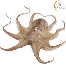 냉동쭈꾸미 200g 6/8미 주꾸미, 1개, 8미 1팩(200g)