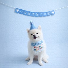 강아지 생일파티용품 세트 반려견 생일 턱받이 꼬깔 가랜드 파티소품, 1개, 블루