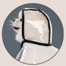 안주인 강아지 비옷 소형견, XS