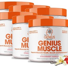 더 지니어스 머슬 빌더 매스 게이너 스트로베리 바닐라맛 The Genius Brand Muscle, 6개