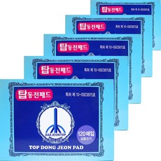 대전탑 탑동전패드 120p, 5개