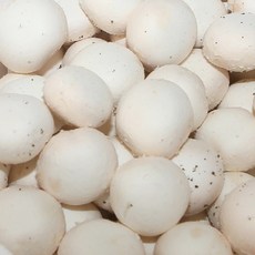 전대표 국내산 중품 양송이버섯, 1박스, 1kg