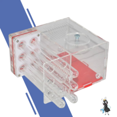 여왕 개미 일본왕 집 키우기 세트 곤충 채집, 사육장, 1개