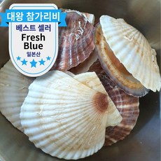 일본산 대왕 참가리비 왕특 조개구이 찜 가리비, 참가리비1kg (14-22마리)