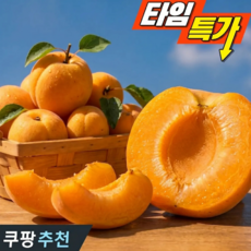 [초특가할인] 꿀고당도 새콤달콤 햇 살구, 1박스, 특품 3kg 42과내외