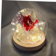 원형 카네이션 무드등 레드 인테리어 조명 선물 sm2*138jf, 상세페이지 참조