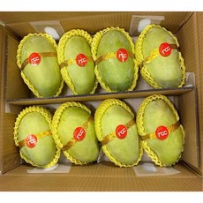 베트남 그린망고 Tuquy 펫망고 시고 새콤달콤 700G 1.5KG 2.5KG 5KG, 1박스, 700g~800g