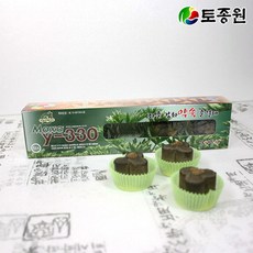 토종원 y 330 좌훈용훈열제 5p 강화도 약쑥