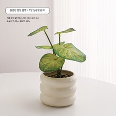 미니 인조 화분 세트 다용도 데스크 가성비 책장 인테리어 식물 촬영 소품, 1개, 9_6엽 심장튜브 고구마 모형