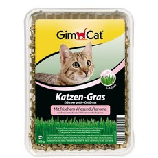 Gimcat德國竣寶 軟貓草 (盒裝), 1個, 香味軟貓草