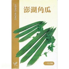 興農種苗 澎湖角瓜種子，家庭園藝種植，綠皮絲瓜，口感鮮甜多汁，新手易上手, 1個