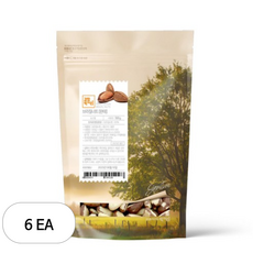 감성먹거리 브라질너트, 500g, 6개