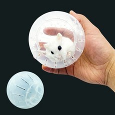 햄스터 놀이터 운동기구 헬스 쳇바퀴 볼 10cm 12cm [가은스토어] 햄스터볼 골든햄스터용품, 1.거치형햄스터볼10cm