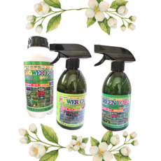 마법의 정원 그린 플라워 케어 다육이 식물 관리제 원예용 친환경 다목적 살충 영양 발아제, 플라워케어리필용 1L, 1개