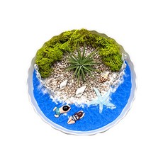 단체 미술 원예 1인 정원 DIY 여름 바다 테라리움 셀프인테리어 식물
