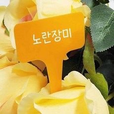 식집사 컬러 식물 이름표 대 정원 꽂이, 없음